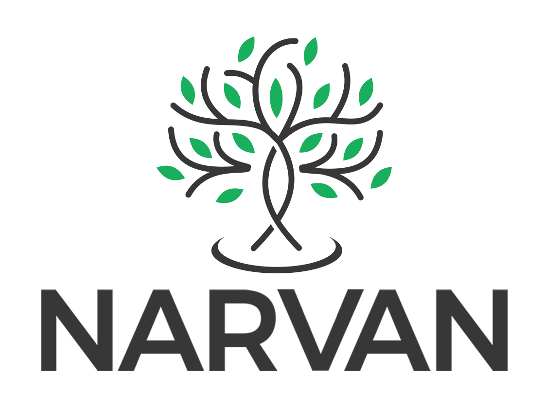 narvan logo